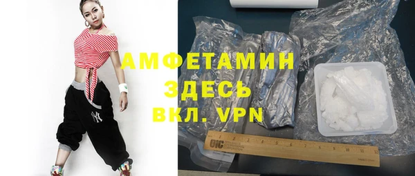 шишки Белокуриха