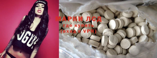 шишки Белокуриха