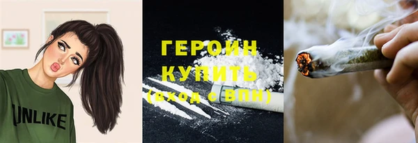 шишки Белокуриха
