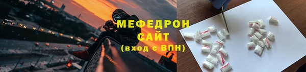 шишки Белокуриха