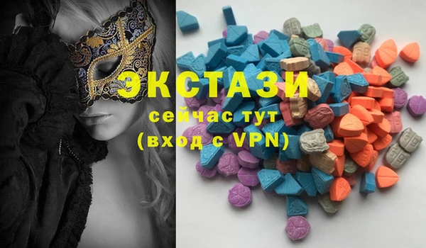 шишки Белокуриха