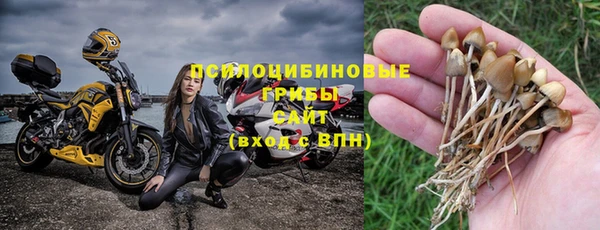 шишки Белокуриха