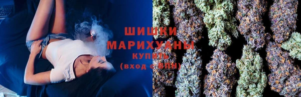 шишки Белокуриха