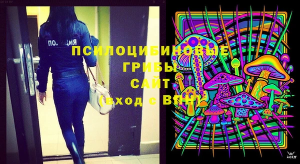 шишки Белокуриха
