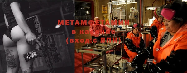 шишки Белокуриха