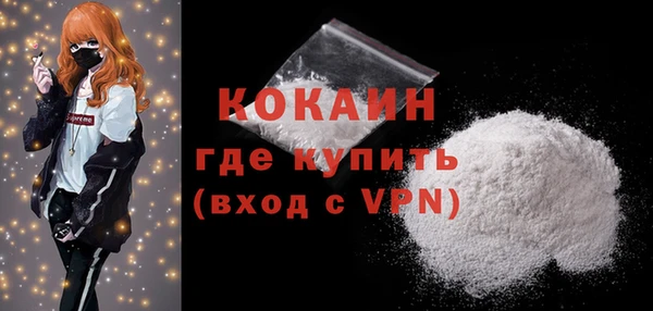 шишки Белокуриха