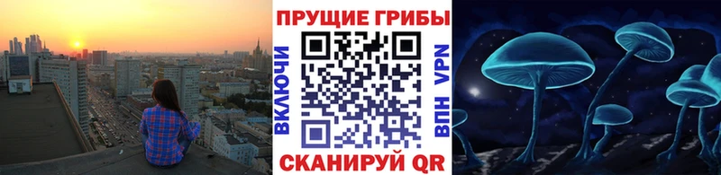 Псилоцибиновые грибы мицелий  Нижний Новгород 
